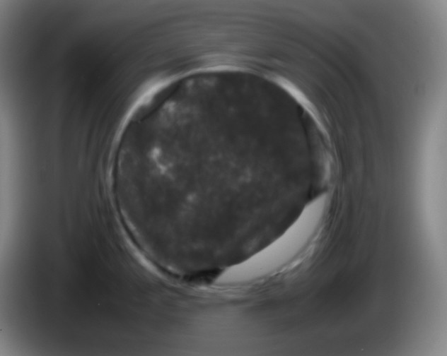 X0000085231197200703301718