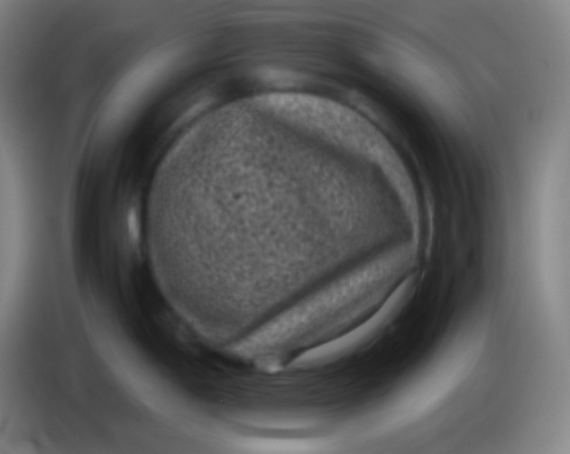 X0000085231198200703301718