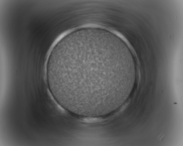 X0000085231199200703301718