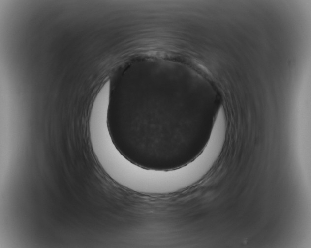 X0000085231202200703301717
