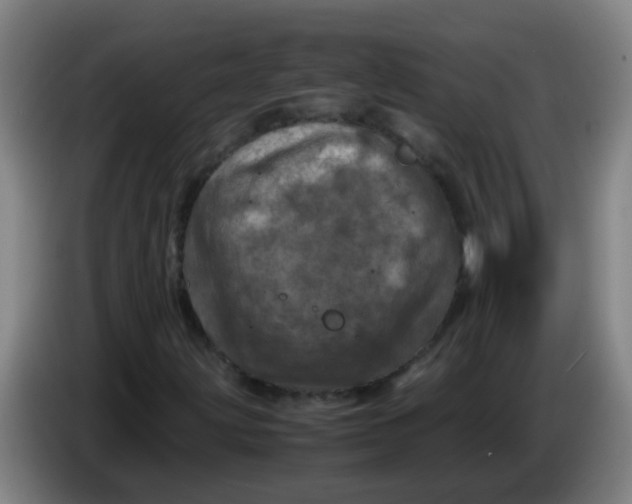 X0000085231203200703301717