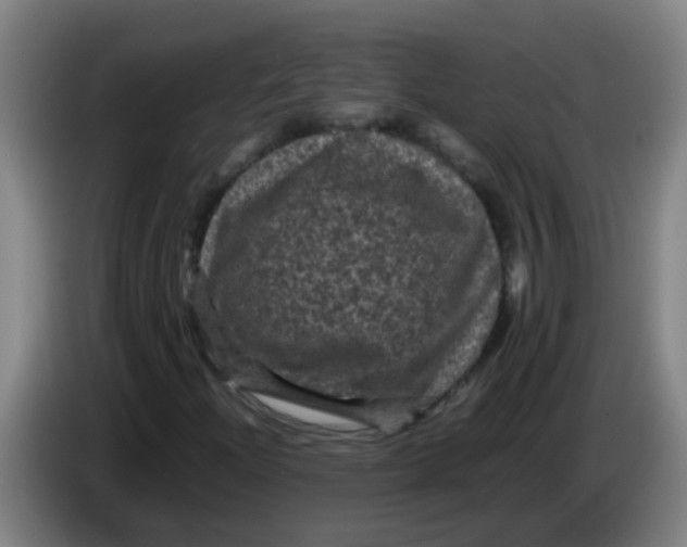 X0000085231204200703301717