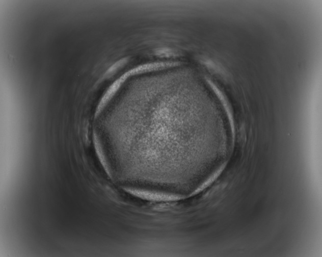 X0000085231205200703301717