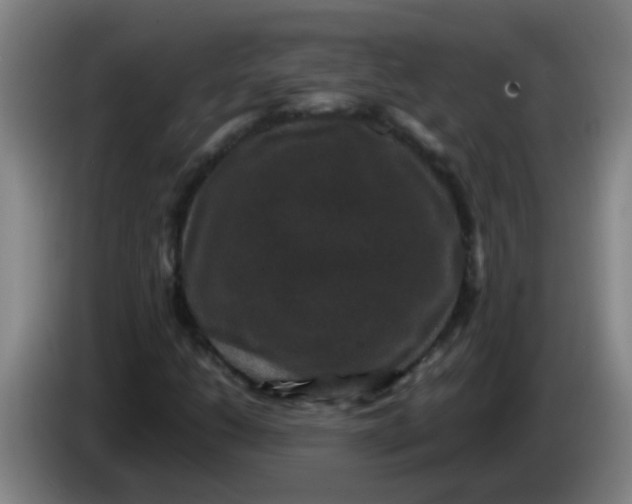 X0000085231206200703301717
