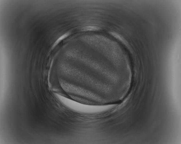 X0000085231210200703301717