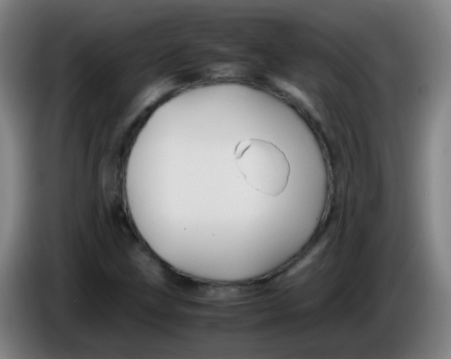 X0000085231211200703301718