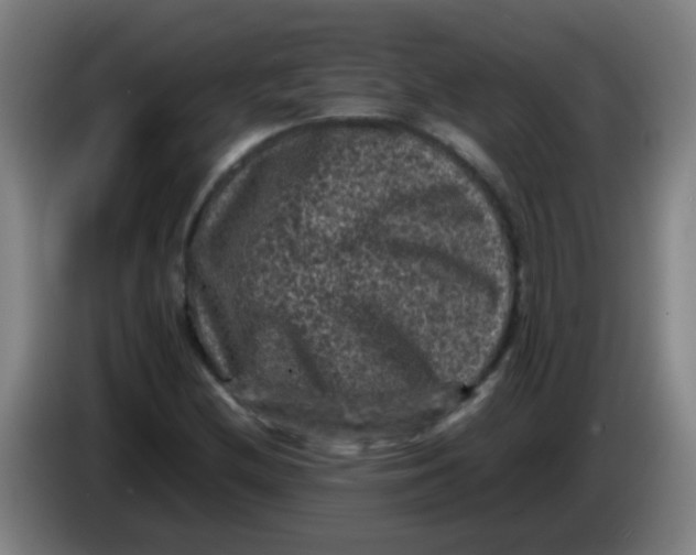 X0000085231212200703301718