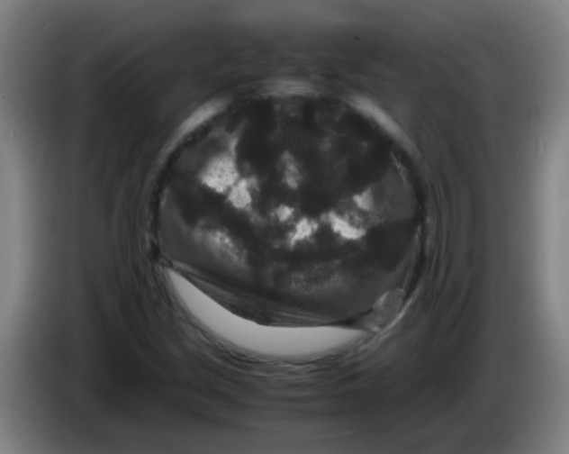 X0000085231213200703301718