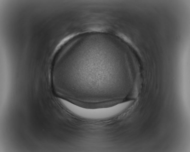 X0000085231214200703301718