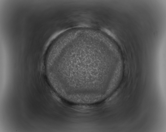 X0000085231215200703301718
