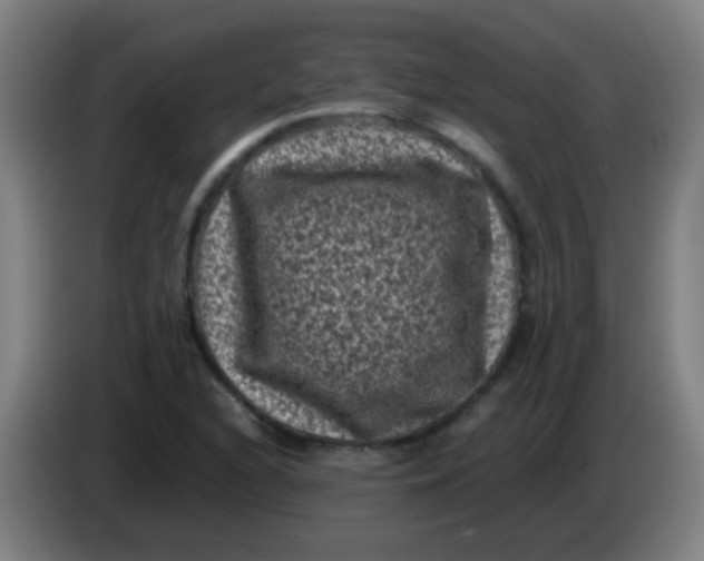 X0000085231216200703301718