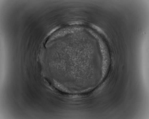 X0000085231217200703301718