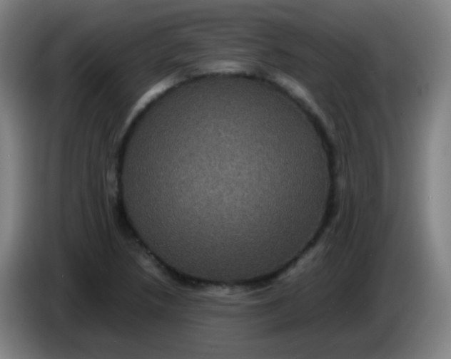 X0000085231218200703301718