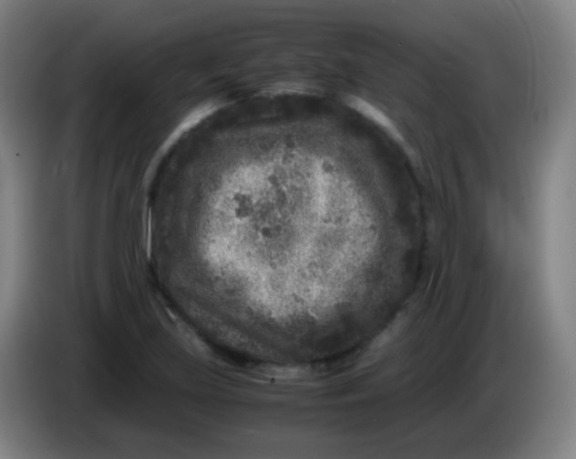 X0000085231219200703301718
