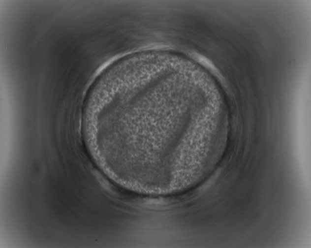 X0000085231220200703301718