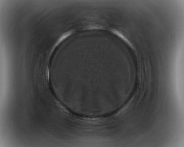X0000085231221200703301718