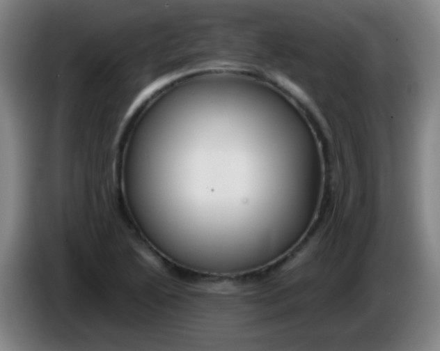 X0000085231222200703301718