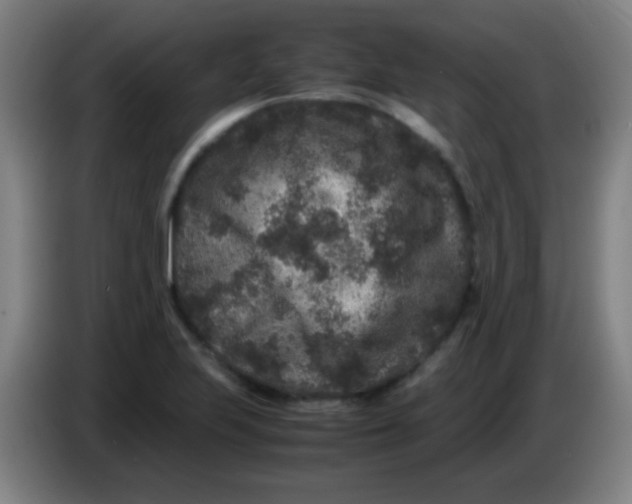 X0000085231223200703301718