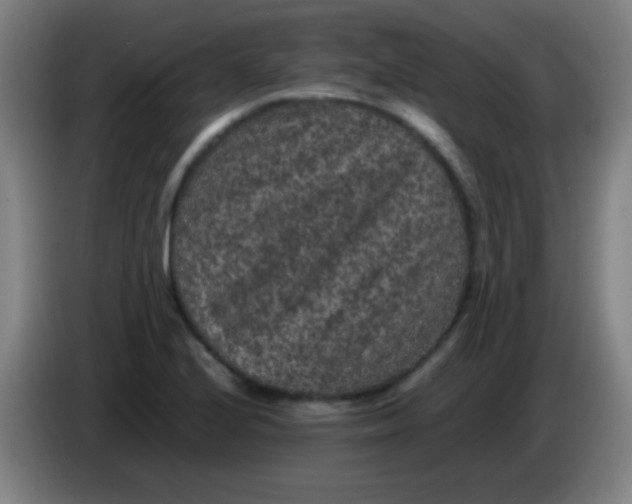 X0000085231224200703301718