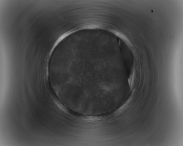 X0000085231226200703301718