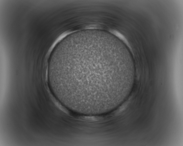 X0000085231227200703301718