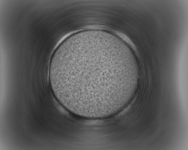 X0000085231228200703301718