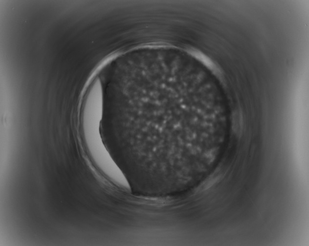 X0000085231229200703301718