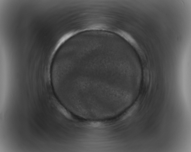 X0000085231230200703301718