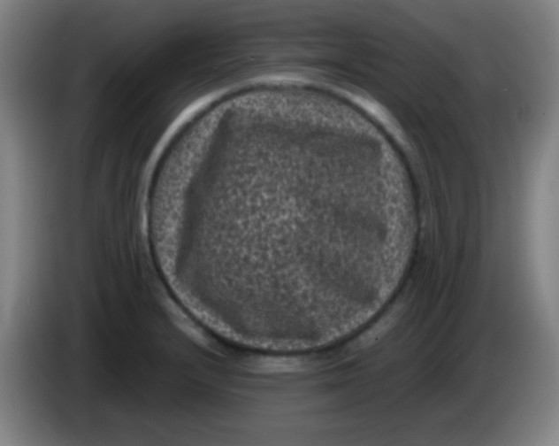 X0000085231232200703301718