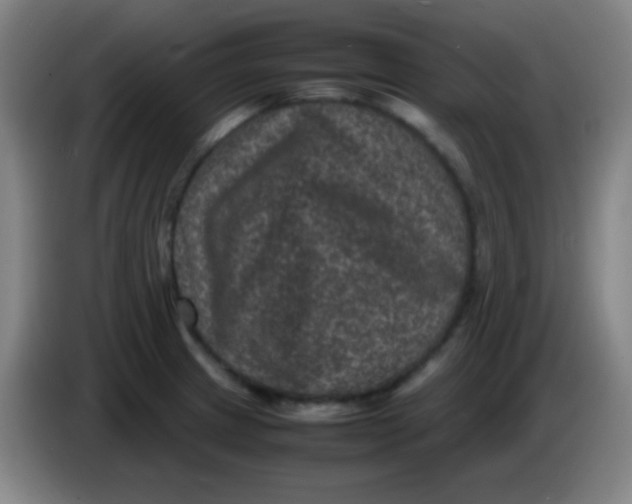 X0000085231233200703301718