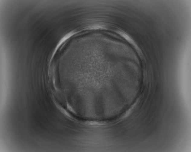 X0000085231234200703301718