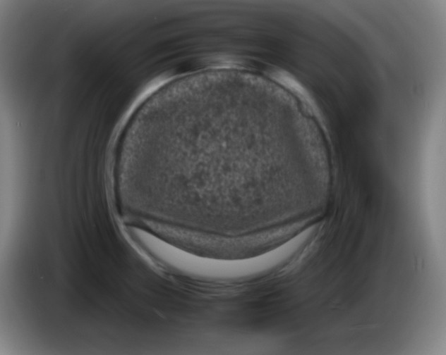 X0000085231235200703301718