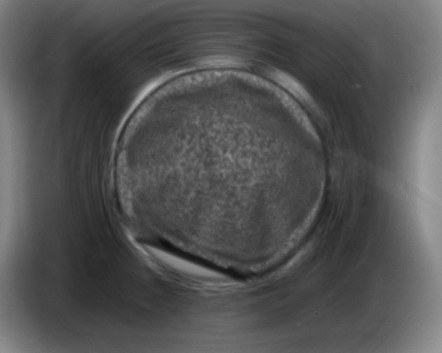 X0000085231236200703301718