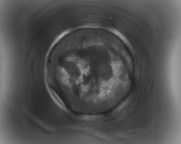 X0000085231237200703301718