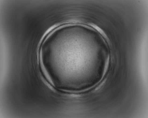 X0000085231238200703301718