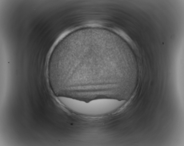 X0000085231240200703301718
