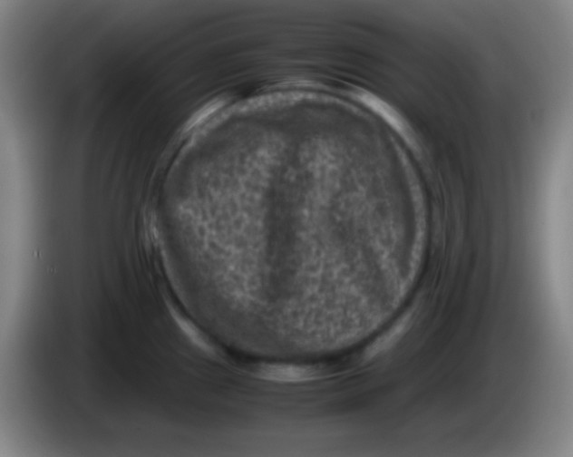 X0000085231241200703301718