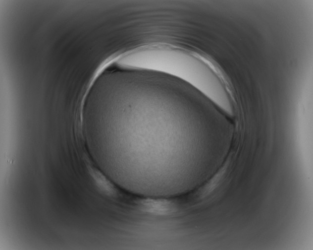 X0000085231242200703301718
