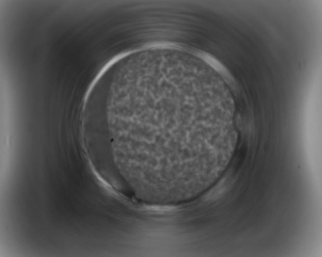 X0000085231244200703301718
