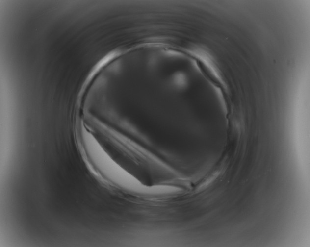 X0000085231245200703301718