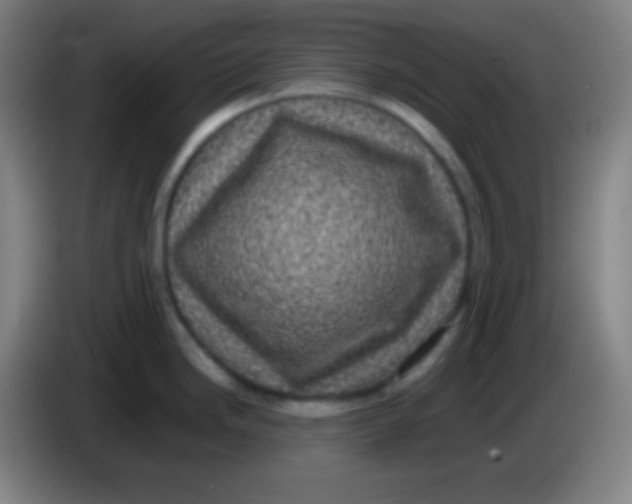 X0000085231246200703301718