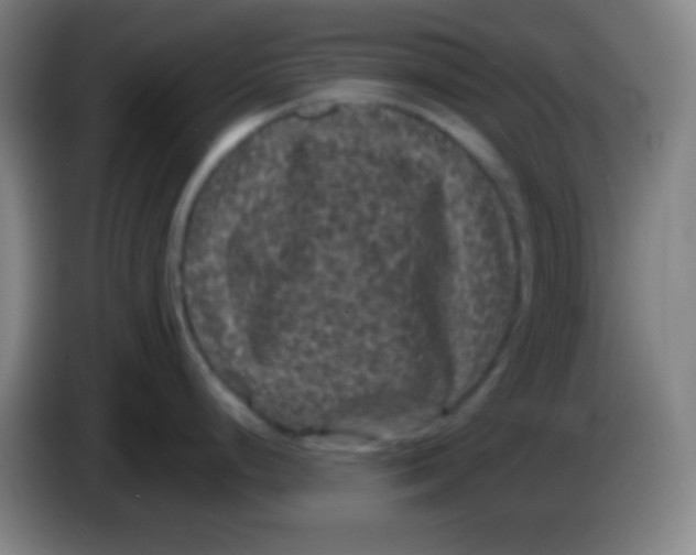 X0000085231248200703301718