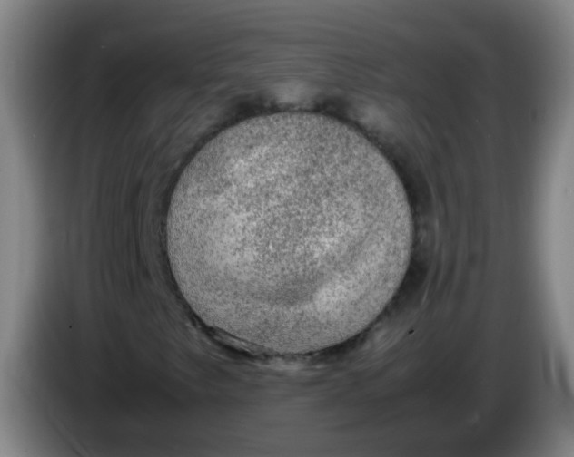 X0000085231249200703301717