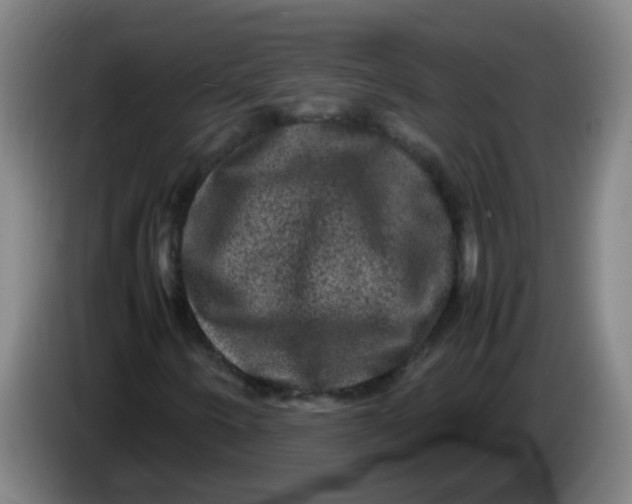 X0000085231250200703301717