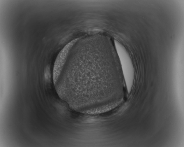 X0000085231252200703301717