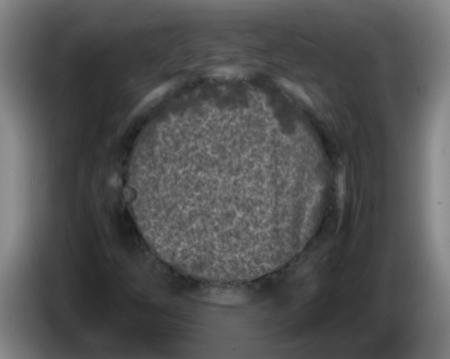 X0000085231254200703301717