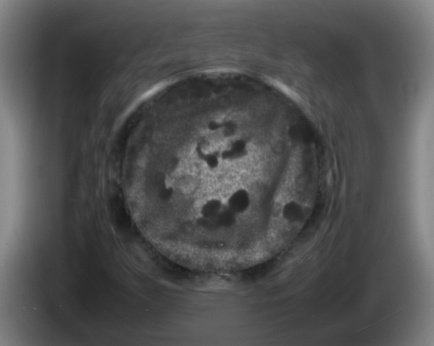 X0000085231255200703301717