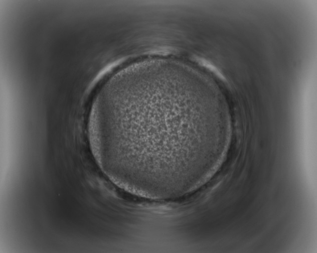 X0000085231256200703301717