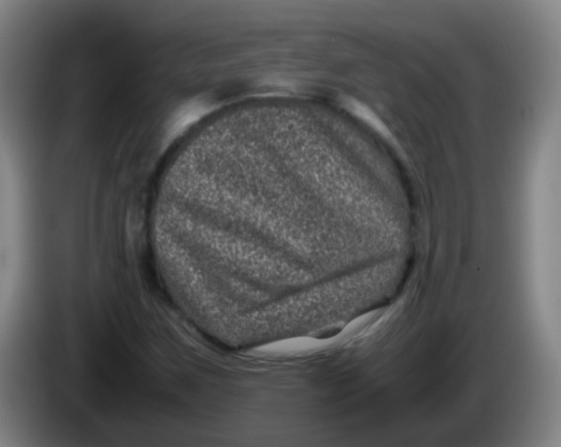 X0000085231259200703301717