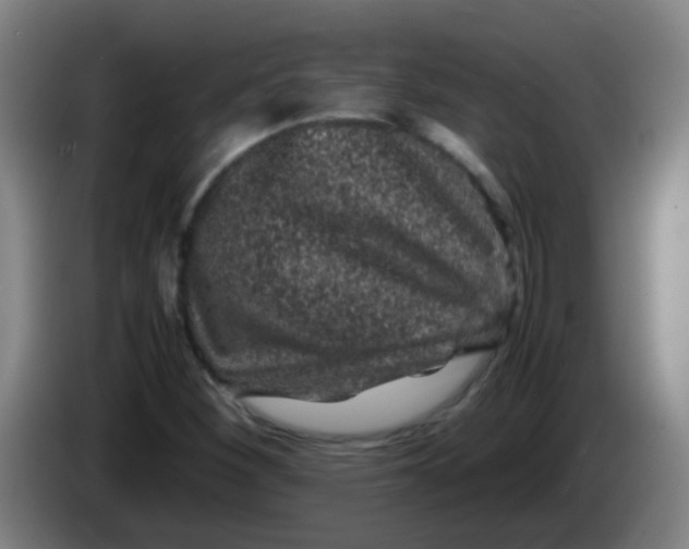 X0000085231260200703301717